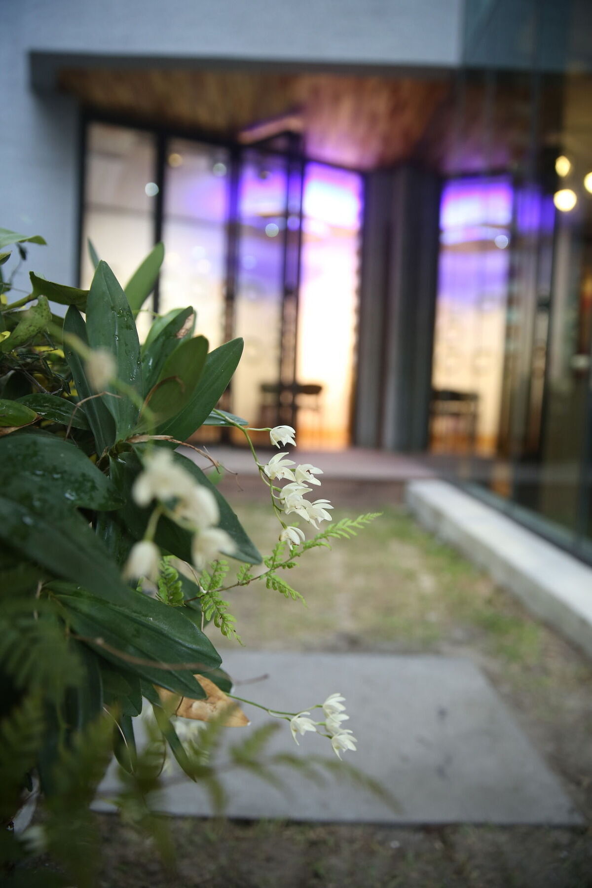 济州市Sogondak House别墅 外观 照片
